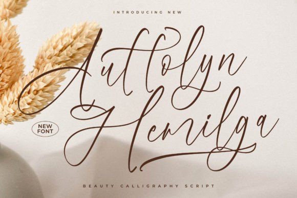 Auttolyn Hemilga Font: Elevating Small Business Branding