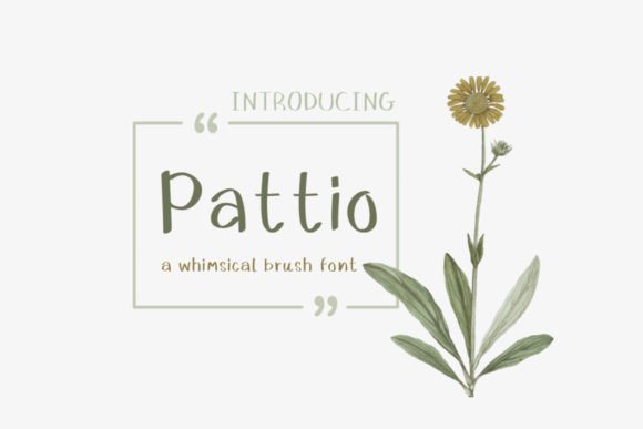 Pattio Font: Whimsical Brush Typography for Digital Marketing