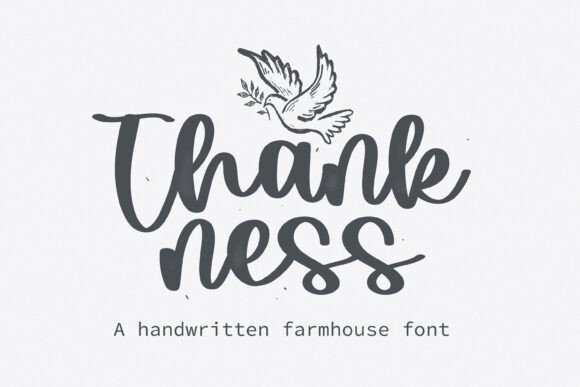 Thankness: Elegant Script Font Review & Guide